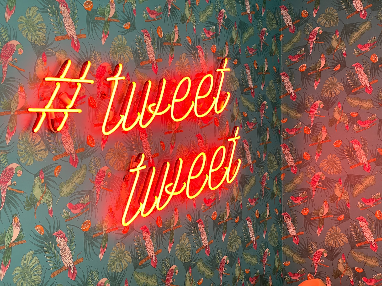 Twitter liste za praćenje – 6 savjeta kako ih pronaći