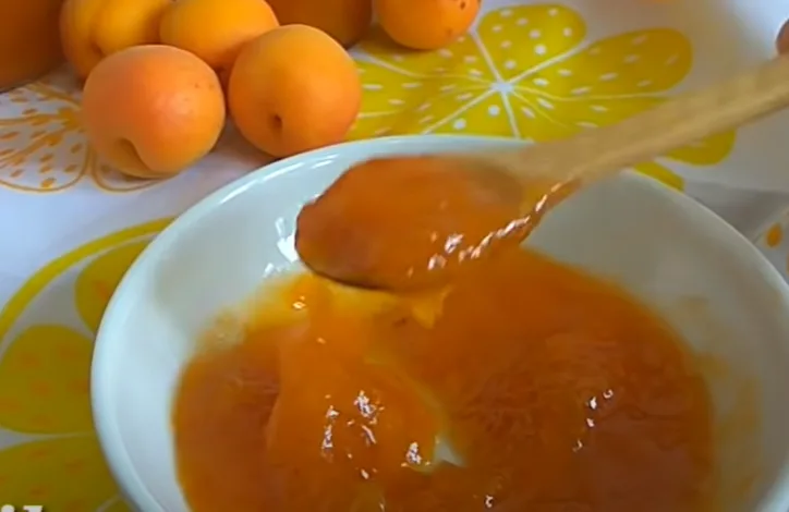BLIŽI NAM SE SEZONA ZIMNICA Starinski recept za pekmez od kajsija (VIDEO)