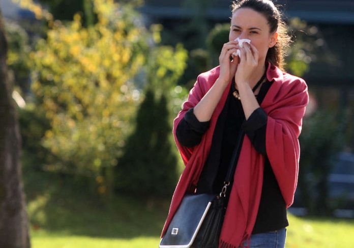Sezona Ambrozije Na Vrhuncu Ovo Su Savjeti Ljekara Za One