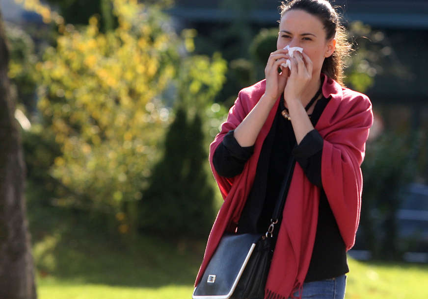 SEZONA AMBROZIJE NA VRHUNCU: OVO SU SAVJETI LJEKARA ZA ONE KOJI SU ALERGIČNI