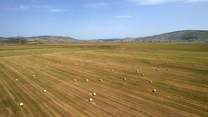 Video O Selu Zvirnjaca U Jednoj Noci Pogledalo Je 70000