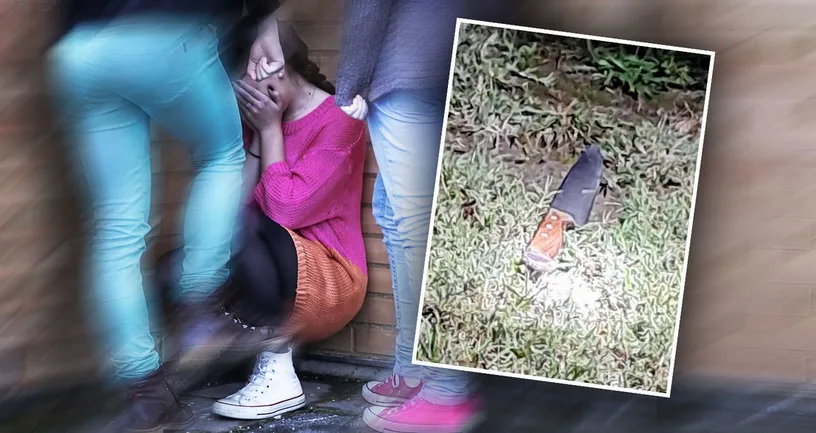 DJEVOJČICA (13) UBOLA PRIJATELJICU NOŽEM U GRUDI! MAJKA ŽRTVE PRESTRAVLJENA