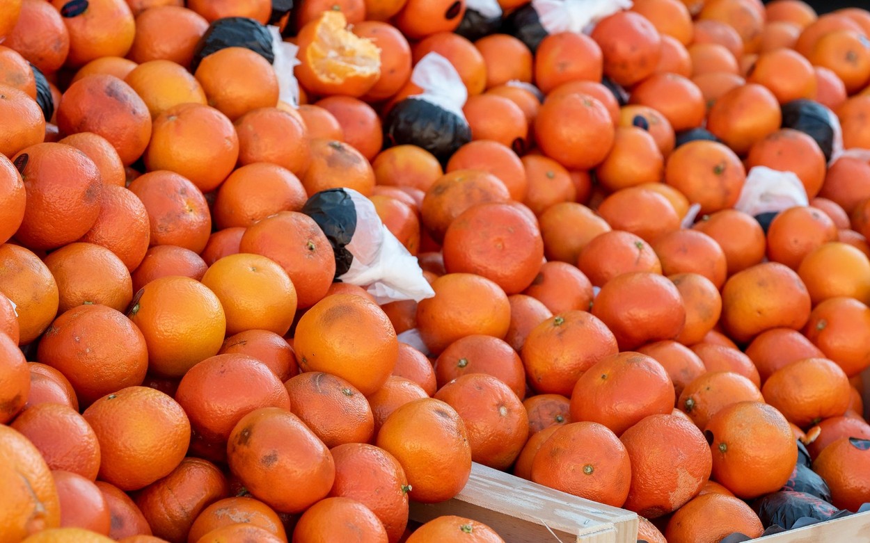 Zašto su mandarine ove sezone smežurane, blijede i male