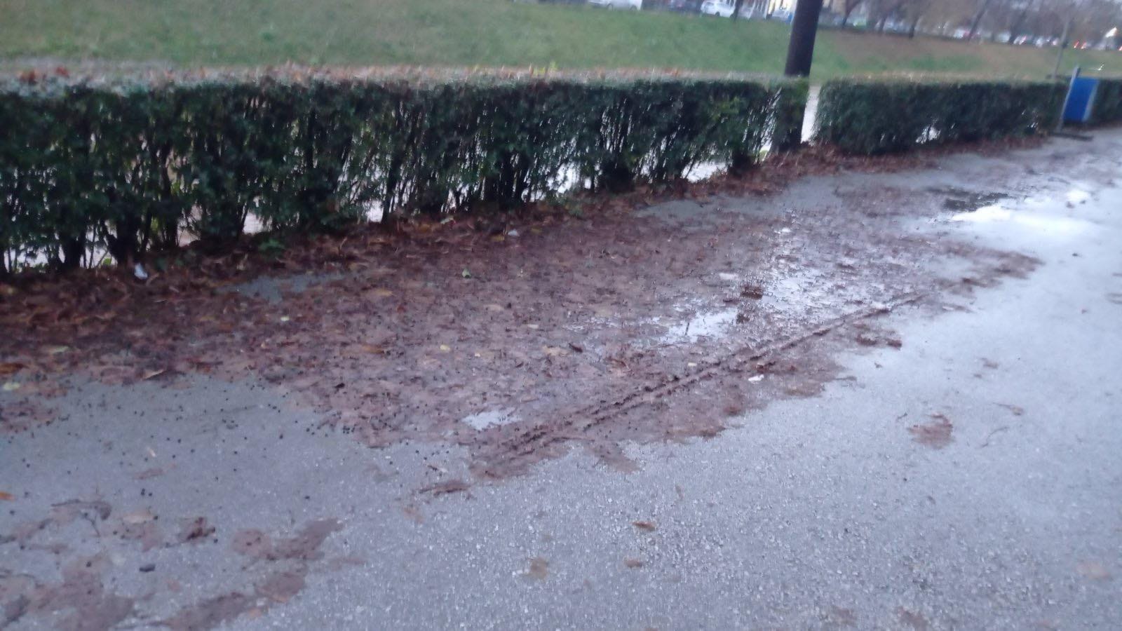 SARAJKA SE OKLIZNULA NA LIŠĆE I SLOMILA RUKU: TRAŽI SE HITNA REAKCIJA NADLEŽNIH