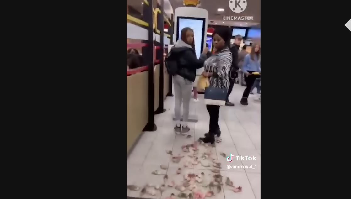 Aktivisti u Engleskoj pustili u McDonald’s miševe obojene bojama Palestine (VIDEO)