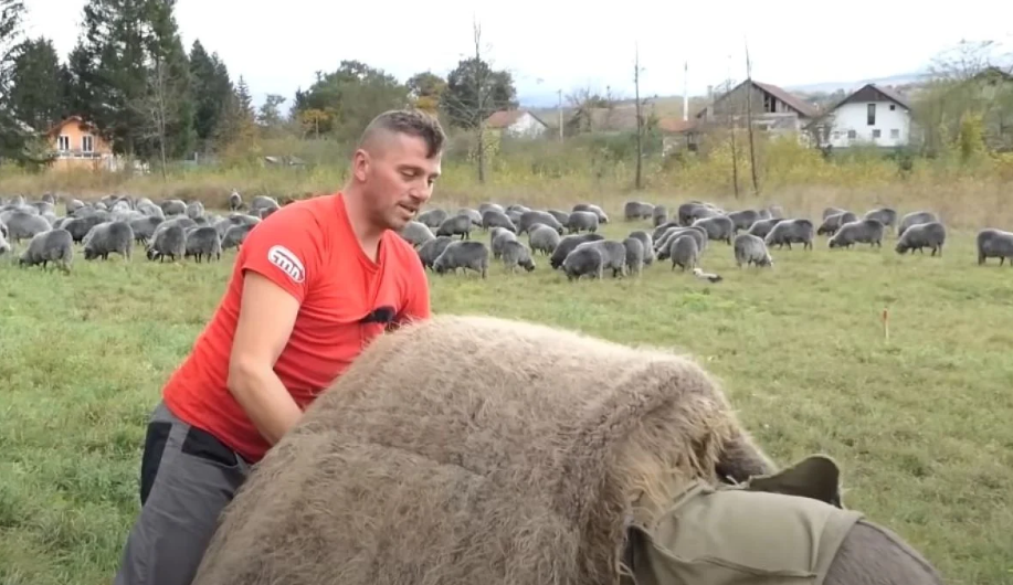 Braća Fehim i Remiz vode nomadski stil života: “Ovce čuvamo od zvjeri čak i po noći”
