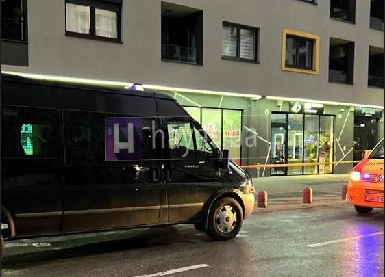 OGLASIO SE MUP KS O HAPŠENJU OSUMNJIČENOG ZA UBISTVO ŠVEĐANINA