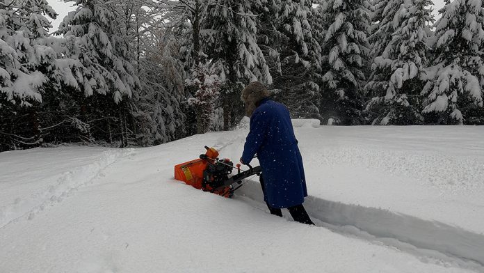 Pricu O Peri I Ivanu S Vlasica U Jednoj Noci