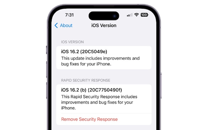 šta su ažuriranja rapid security response? (i kako ih omogućiti)