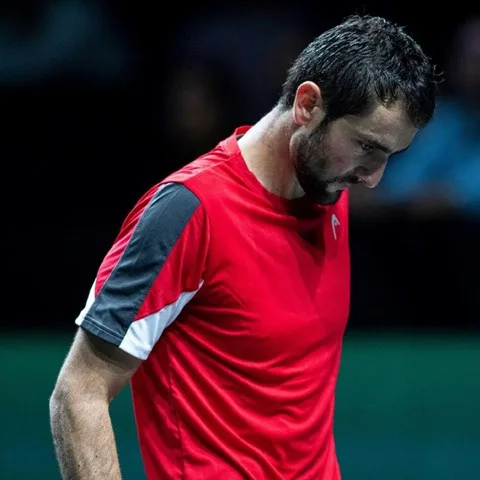 Čilić u prvom kolu ispao s Australian Opena