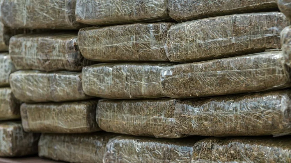 NA GRANIČNOM PRELAZU VRAĆENOVIĆI ZAPLIJENJENO PREKO 120 KILOGRAMA MARIHUANE