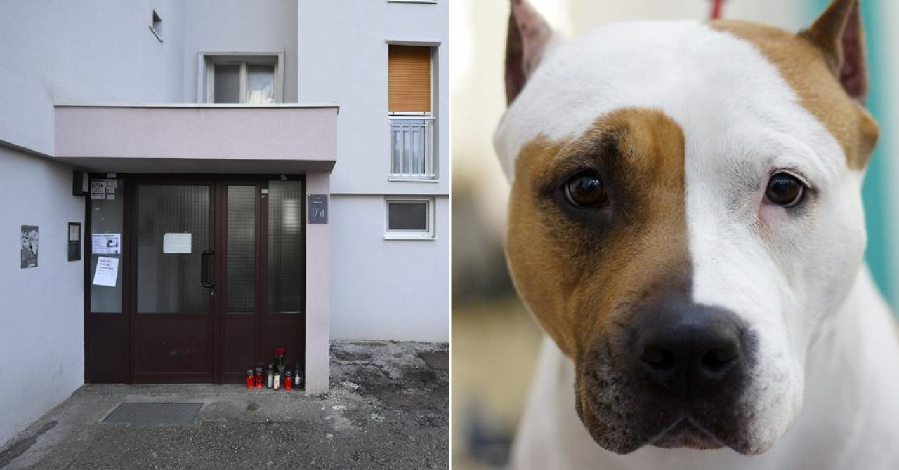 ‘Ne spavam, ne jedem, samo plačem. Proganja me scena kada sam vidjela svoju mrtvu majku…‘