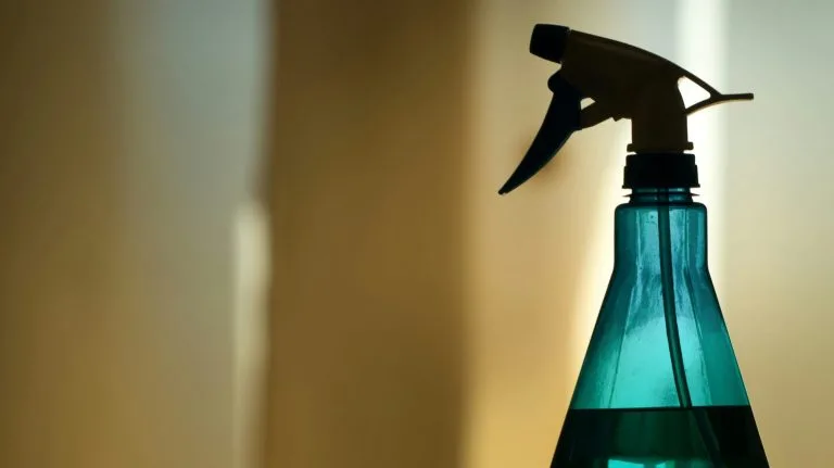 Sprej protiv grinja koji je lako napraviti kod kuće: potrebna su vam samo dva sastojka
