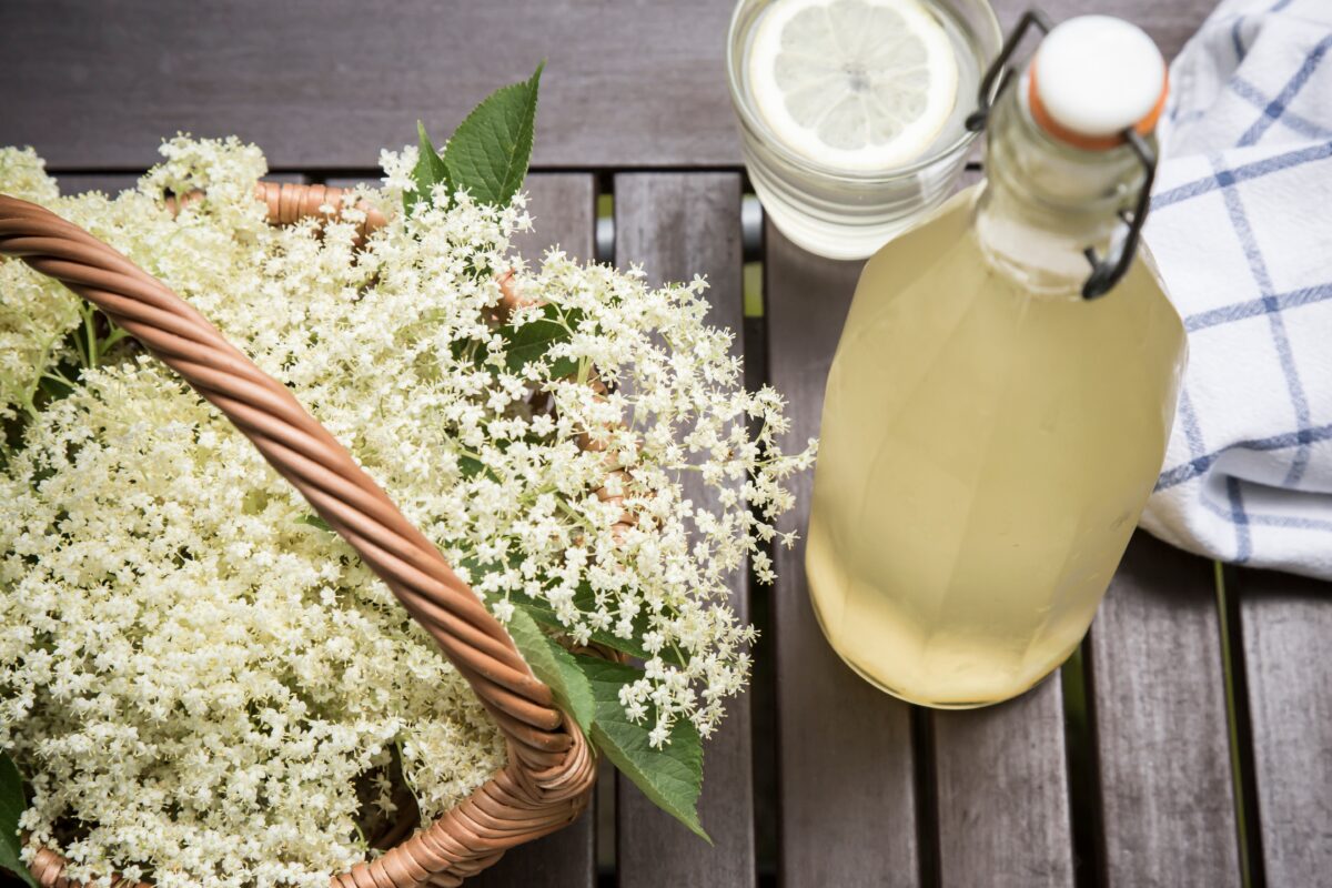 RECEPT ZA SOK OD ZOVE 40 CVJETOVA: PIO SE KAO ELIKSIR ZDRAVLJA I MLADOSTI