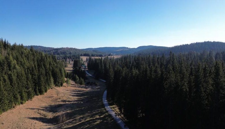 Sa sjednice Vlade KS: Više od sedam miliona KM za projekte u oblasti šumarstva