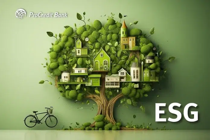 Postavljanje Standarda Esg Kao Filozofija Poslovanja I Zivota A Ne.webp