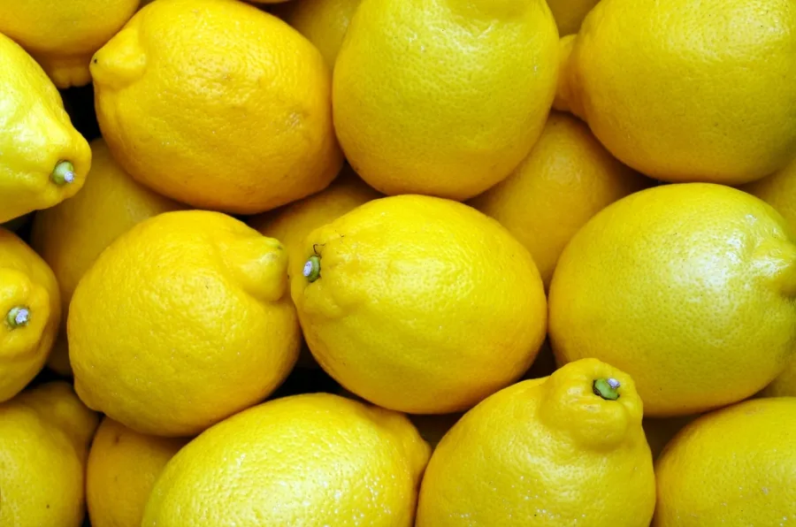 Cijene citrusa u BiH dosegle su nebo, građani će kupovati po jednu voćku