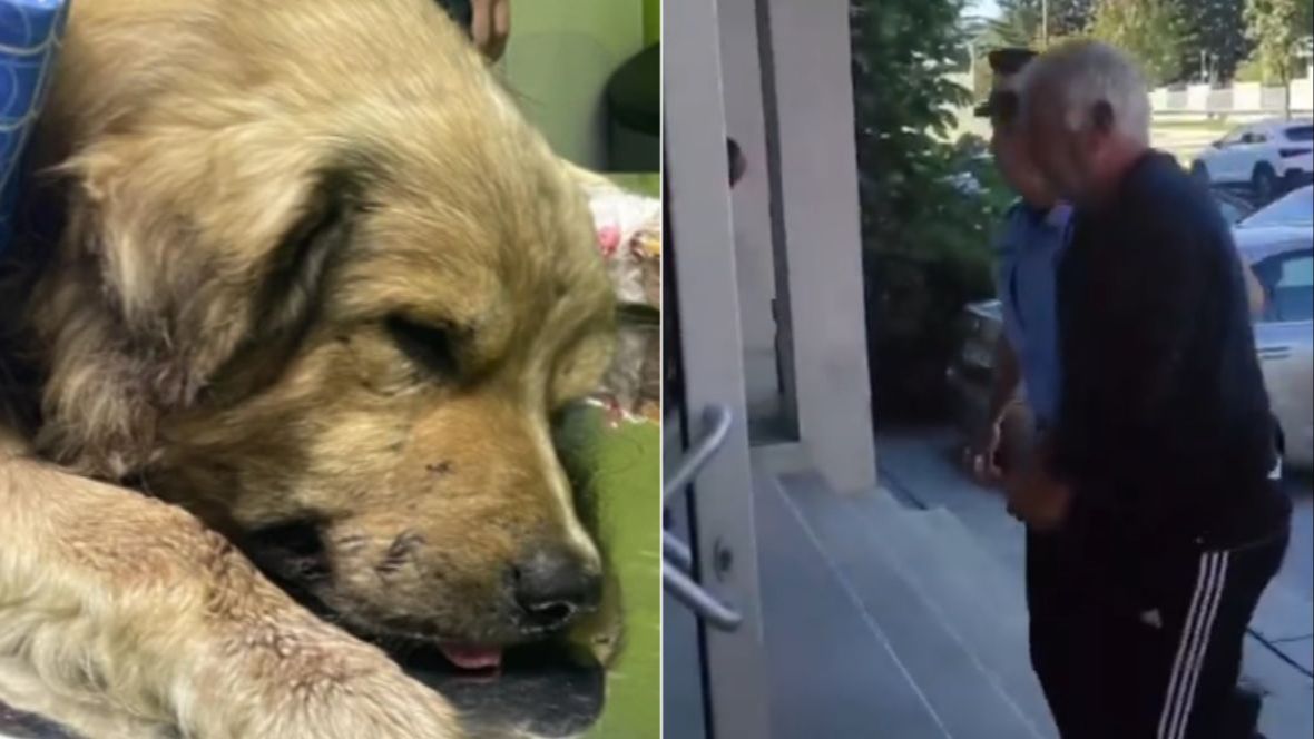Istočnosarajevski monstrum zadržan u jednomjesečnom pritvoru zbog brutalnog mučenja i ubistva psa.