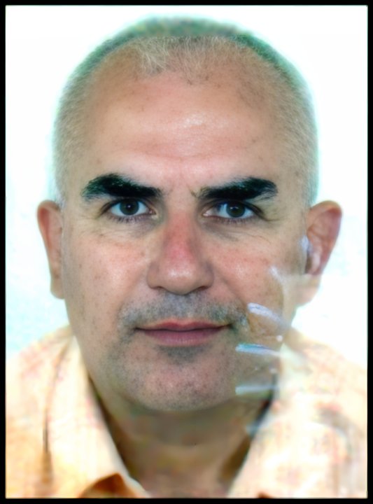 Ivo Dedic