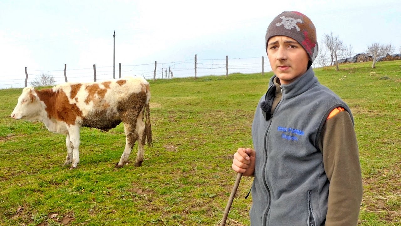 Najmlađi i najvrijedniji stočar iz Bugojna: “Kad ona kaže da ovo smrdi, ja joj kažem da ta čaša mlijeka ne smrdi.”