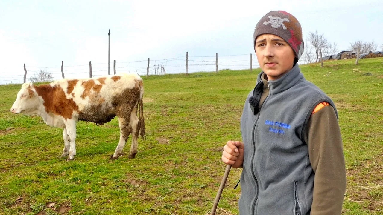 Najmlađi i najvrijedniji stočar iz Bugojna: “Kad ona kaže da ovo smrdi, ja joj kažem da ta čaša mlijeka ne smrdi.”