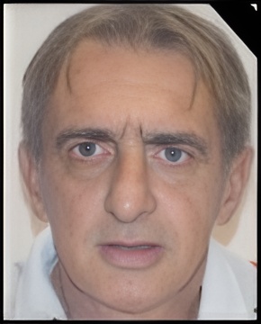Vladimir Skocajic