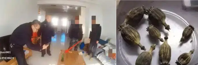 Desetogodisnjak Je Policiji Prijavio Policiji Da Sakrije Opojne Narkotike.webp