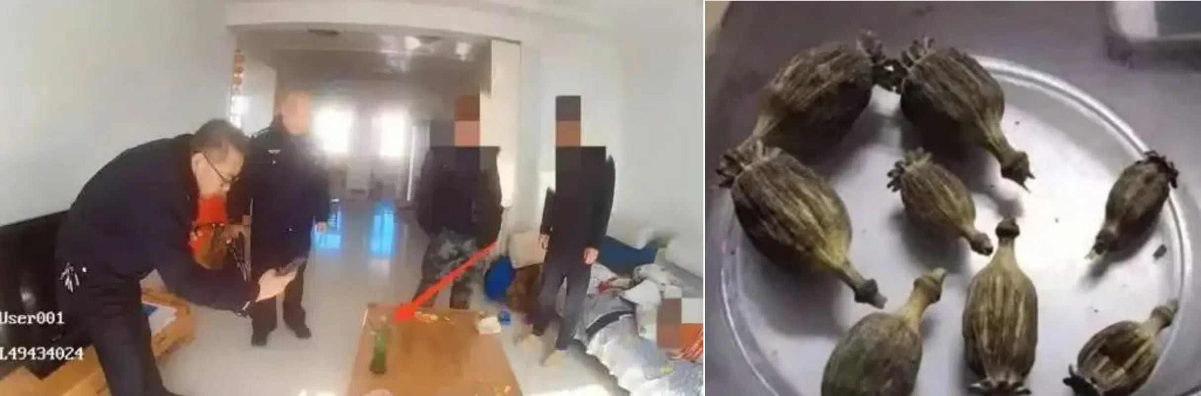 Kineska policijska istraga