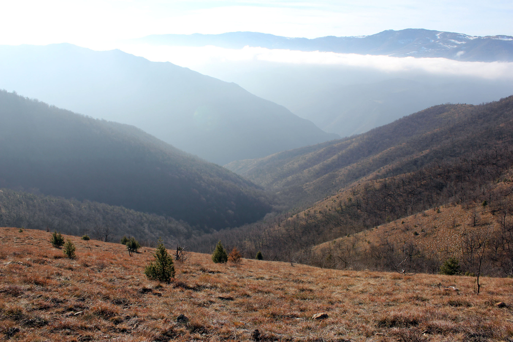 Zapuštena planina poznata po divljim konjima i paraglajdingu čeka vas 3 sata od Beograda