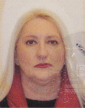20250208 0006