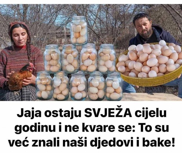 Jaja Ostaju Svjeza Cijelu Godinu I Ne Kvare Se Tajnu
