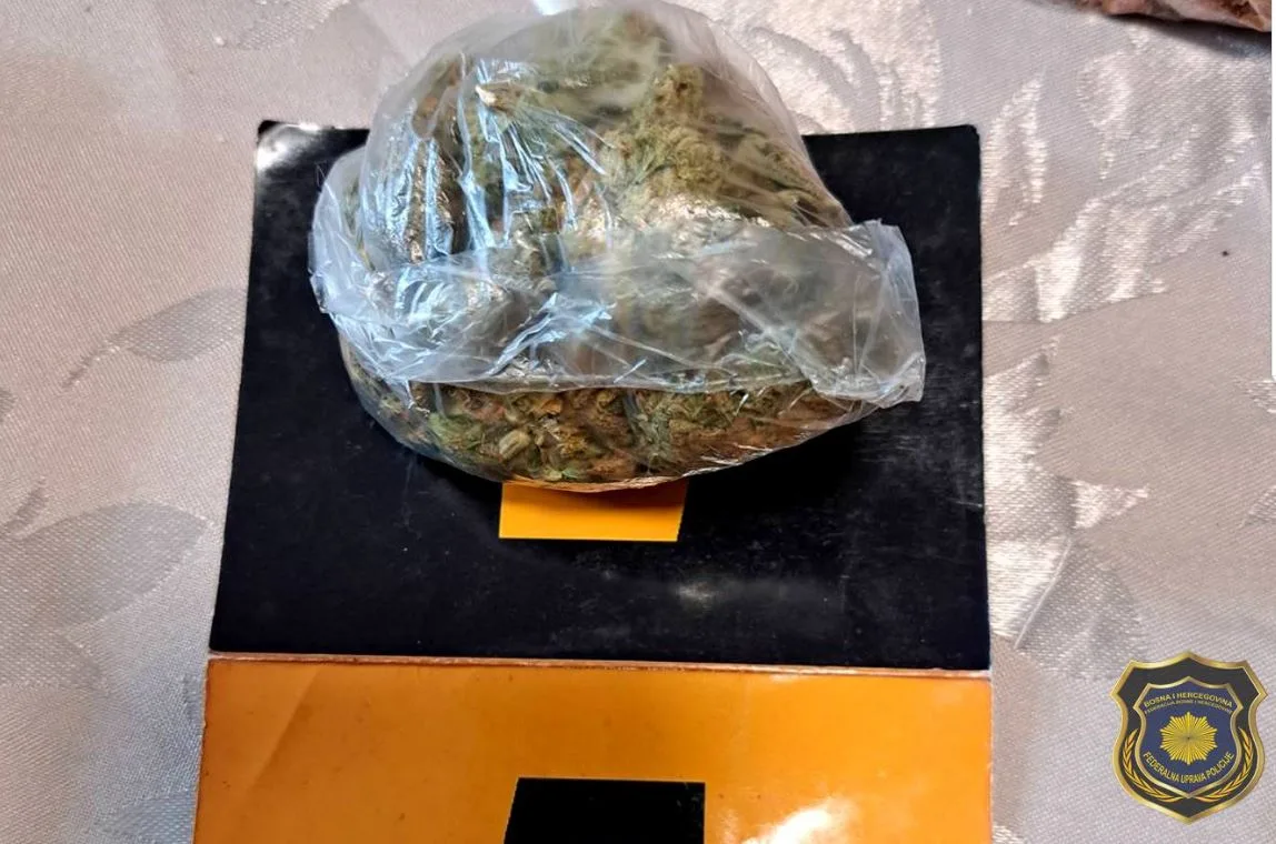 Jedna osoba iz Sarajeva uhapšena, pronađena droga i municija