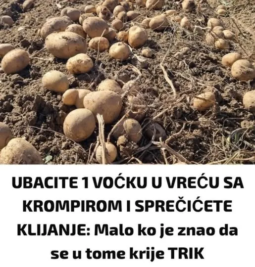 UBACITE 1 VOĆKU U VREĆU SA KROMPIROM I SPRIJEČIĆETE KLIJANJE: Malo ko je znao da se u tome krije TRIK!