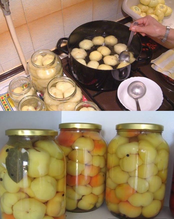 1744775791 Barene Paradajz Paprike Za Zimnicu Jednostavan Recept Koji Se Moze Primeniti