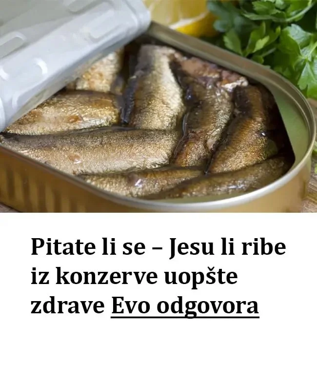 Pitate Li Se – Jesu Li Ribe Iz Konzerve Uopste.webp