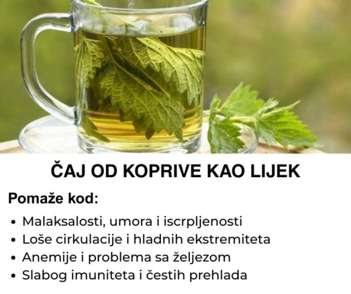 Caj Od Koprive Kao Lijek – Evo Kako Se Sprema