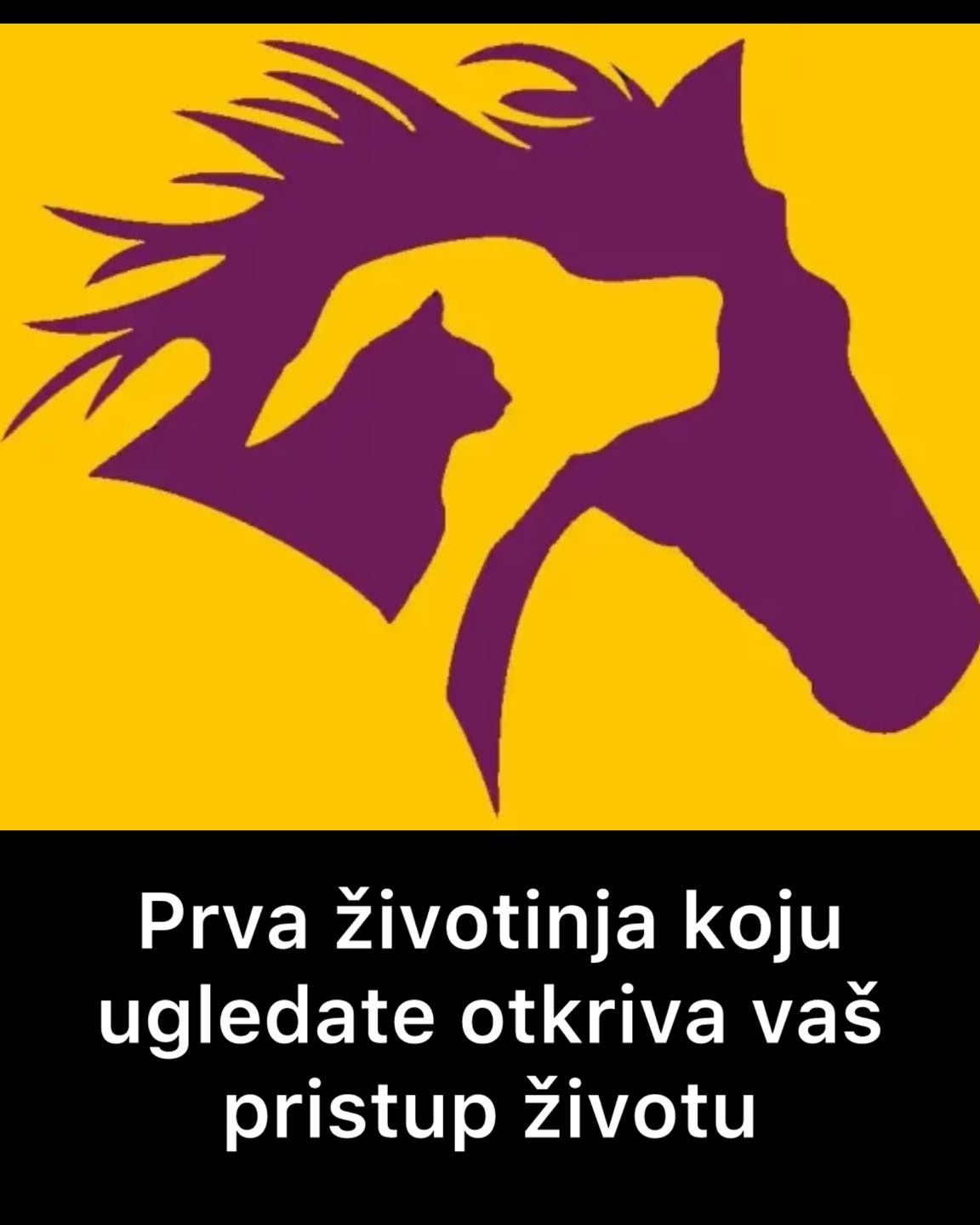 Šta ste prvo ugledali na slici? Otkrijte svoju duhovnu dominantu
