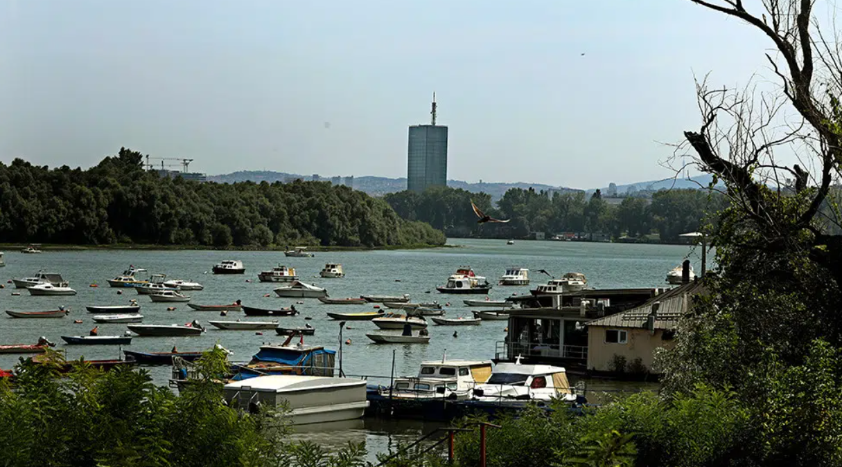 Na samo 200 metara od Save i Dunava, zaboravljeni biser Beograd može vam pružiti hlad u ovim vrućim danima