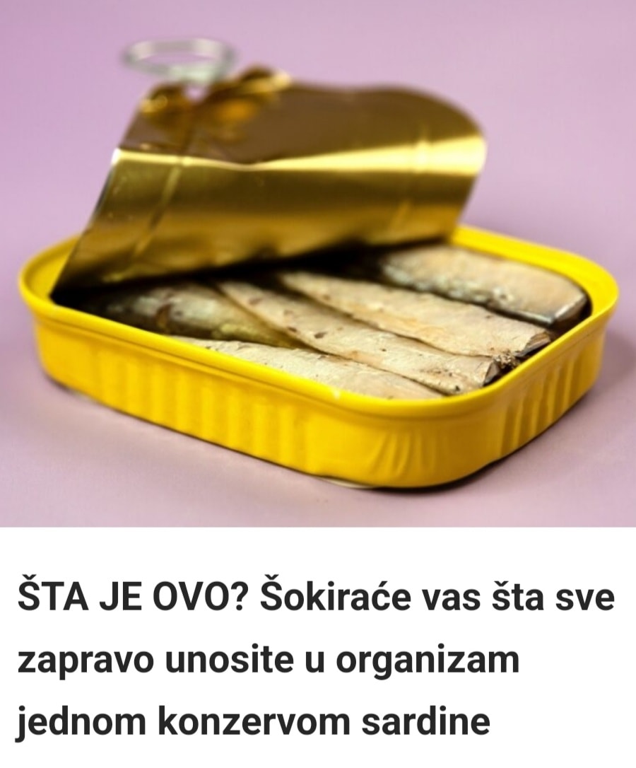 Sardine u konzervi: Zdrave ili opasne? Evo šta vam niko ne govori, vreme je da saznate istinu