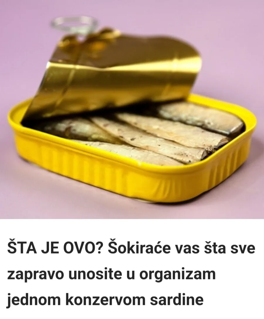 Sardine u konzervi: Zdrave ili opasne? Evo šta vam niko ne govori, vreme je da saznate istinu