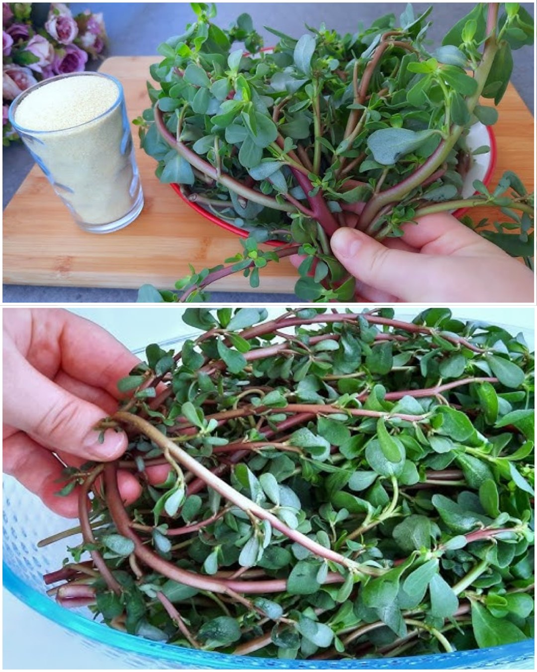 Recept za tušt iz turske – nevjerovatno ukusan i zdrav, a raste svuda!
