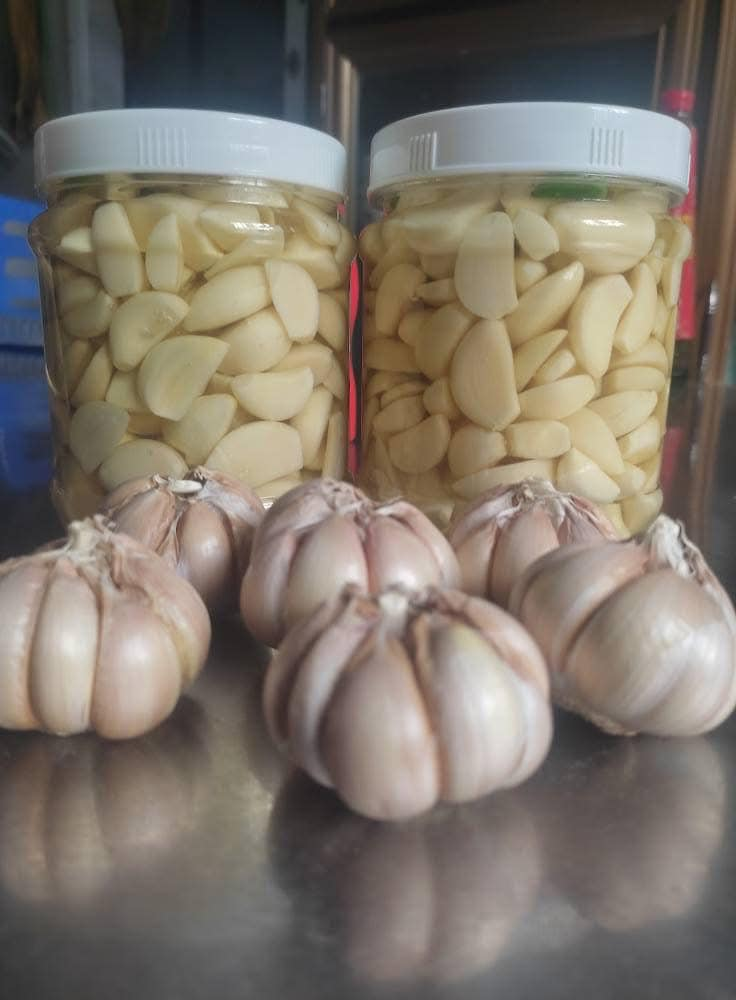 Samo 2 sirova čena bijelog luka dnevno mijenjaju tvoje zdravlje iz korijena