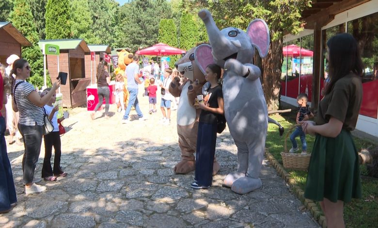 Pionirska dolina: Održan drugi humanitarni bazar ‘Veliki osmijeh u prirodi’