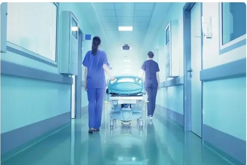 Opasna gljivica koja je otporna na lijekove stigla i u Hrvatsku