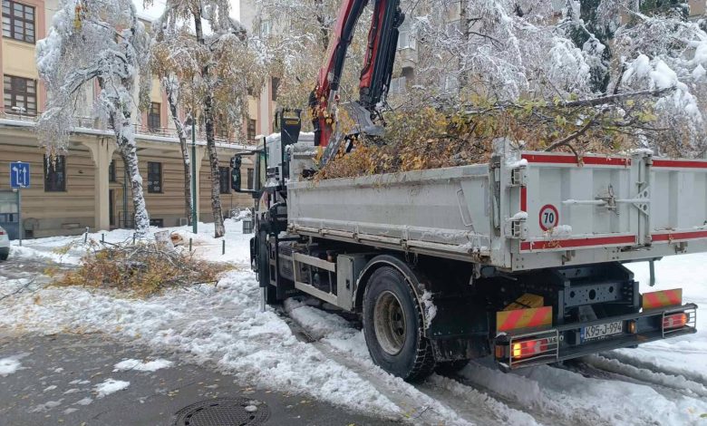 Park apeluje: Izbjegavajte boravak i parkiranje ispod visokih stabala zbog opasnosti od lomljenja
