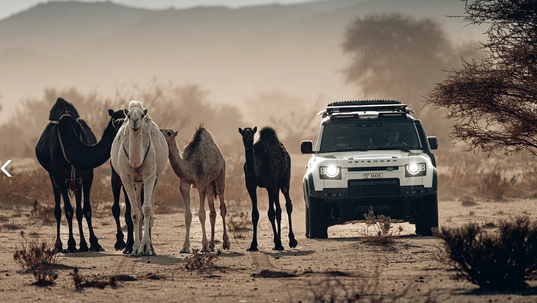 11stvari koje treba da znate o Dakar Rally-u 2026