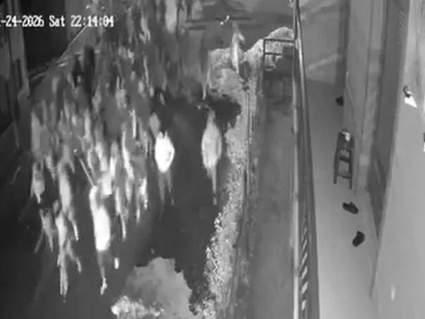 Pojavio se video tučnjava navijača u Tuzli: Deseci maskiranih huligana s palicama i stravične povike