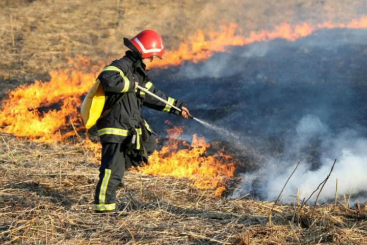 Požari harali ŽZH: Deseci intervencija u Posušju, Grudama i Ljubuškom i Širokom Brijegu