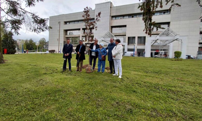 Sadnjom medonosnog bilja započeta aktvnost uređenja parka za pacijente, usposlenike i posjetioce KCUS-a