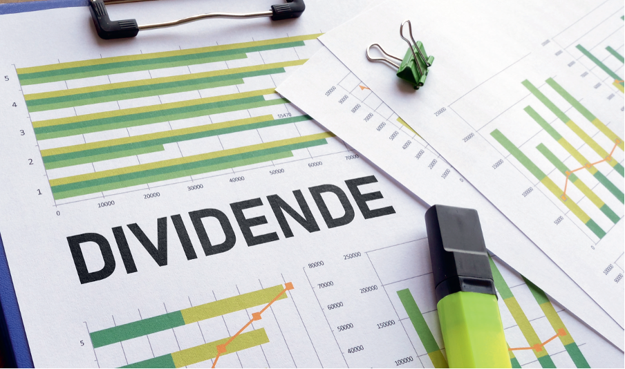 Dividendna politika odvraća male ulagače od dionica – Business Magazine
